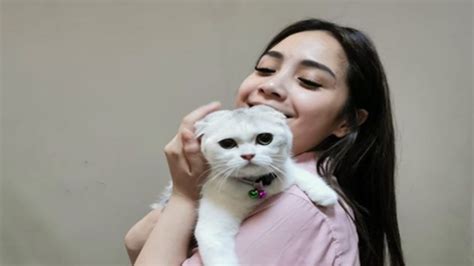 Harga Kucing Nagita Slavina