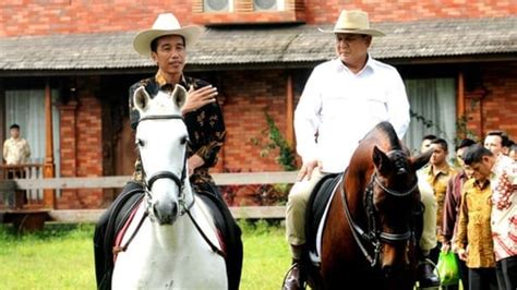 Harga Kuda Kecil di Pasar Indonesia