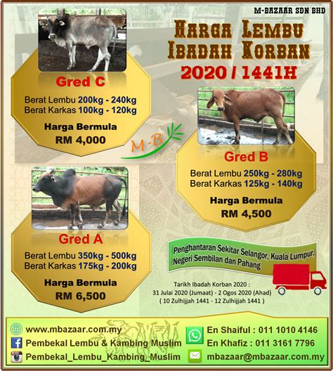 Harga Lembu 1 Ekor di Indonesia