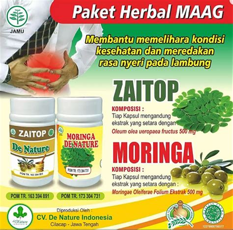 Harga Obat Herbal Natur Ind