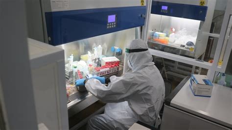 Harga PCR 2022: Siap-Siap Banting Harga