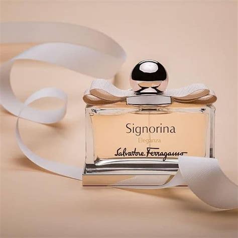 Harga Parfum Signorina Original