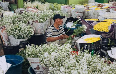Harga Pasar Bunga Rawa Belong