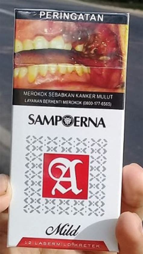 Harga Sampoerna Mild 12 - Jenis Rokok Paling Keren di Indonesia