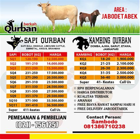 Harga Sapi Qurban di Indonesia