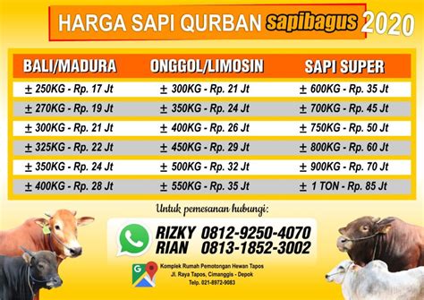 Harga Sapi untuk Kurban di Indonesia