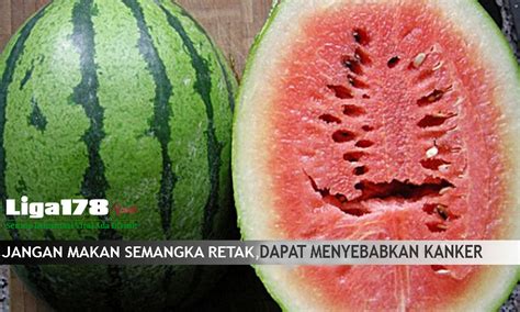 Harga Semangka 1 Kg Terbaru