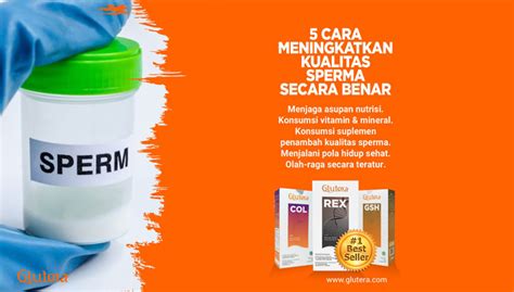 Harga Sperma Cowok, Apa Saja yang Perlu Dipertimbangkan?