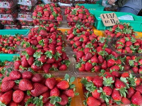 Harga Strawberry Per Kilo Di Pasaran