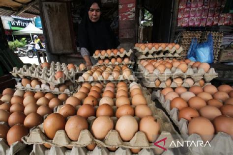 Harga Telur 1 Papan di Pasar