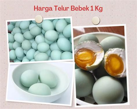 Harga Telur Bebek dan Faktor yang Mempengaruhi