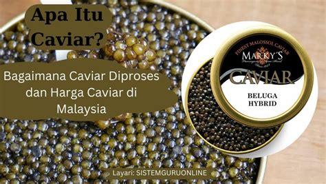 Harga Telur Ikan Caviar: Apa yang Harus Anda Ketahui?