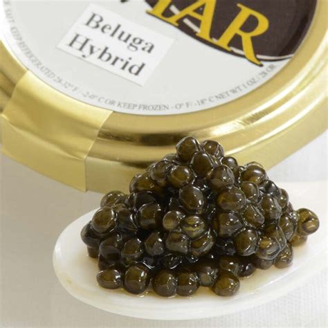 Harga Telur Kaviar yang Wajar dan Terjangkau
