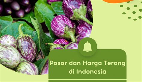 Harga Terong 1 kg di Pasar Tradisional