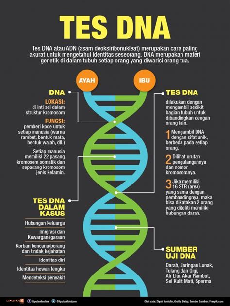 Harga Tes DNA: Belajar Tentang Biaya yang Terkait