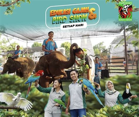 Harga Tiket Maharani Zoo 2022