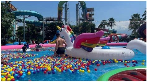 Harga Tiket Waterpark Hawai Malang