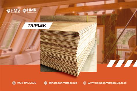 Harga Triplek Dinding Yang Menarik