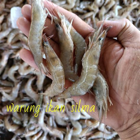 Harga Udang Sekilo di Pasaran