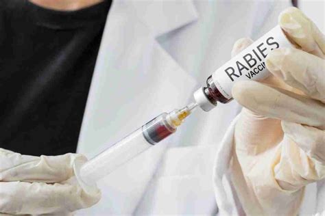 Harga Vaksin Rabies untuk Manusia