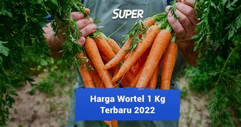 Harga Wortel Per Kg 2021
