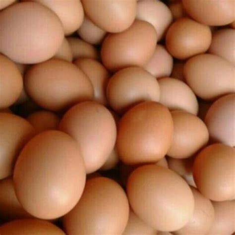 Harga 1 Kg Telur Ayam di Indonesia