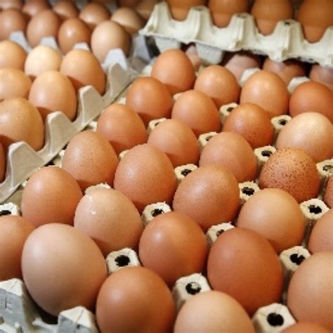 Harga 1 Kg Telur Ayam di Pasaran