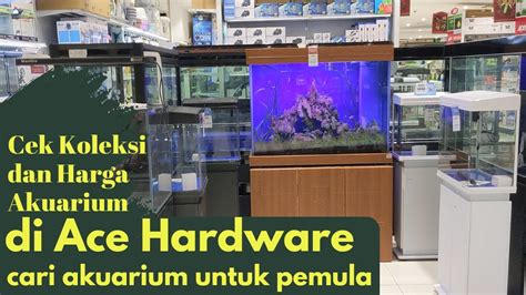 Harga Akuarium Sedang - Cari Tahu!