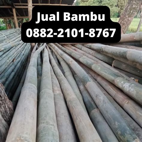 Harga Bambu Per Batang 2021