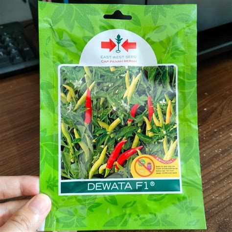 Harga Benih Cabe