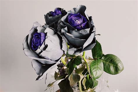 Harga Bunga Paling Mahal