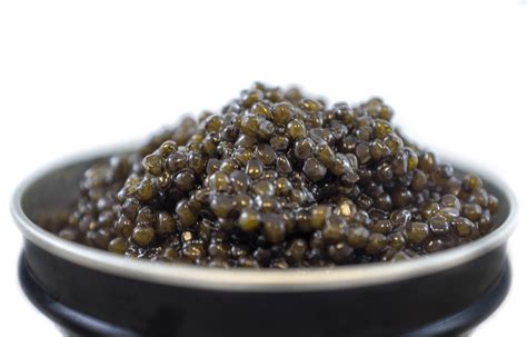 Harga Caviar: Berapa Sih Biayanya?