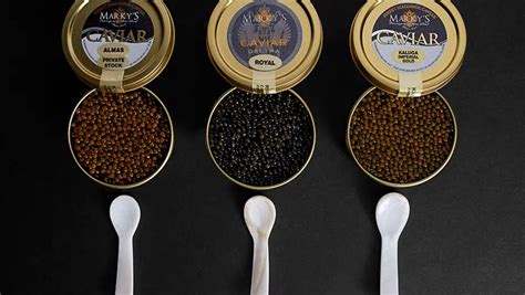 Harga Caviar Kaleng