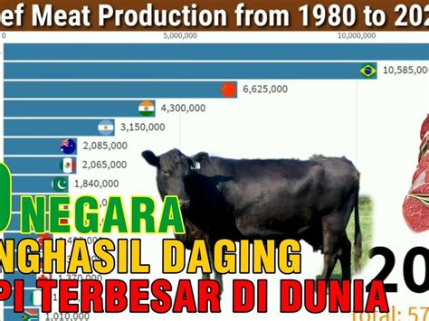 Harga Daging Sapi Impor di Indonesia