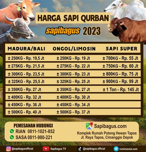 Harga Domba Qurban Terbaik di Indonesia