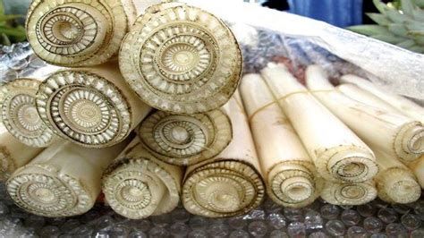 Harga Gedebog Pisang