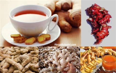 Harga Jahe Saat Ini