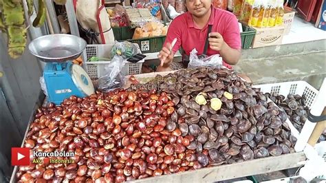 Harga Jengkol - Mau Belanja Dengan Harga Terjangkau?