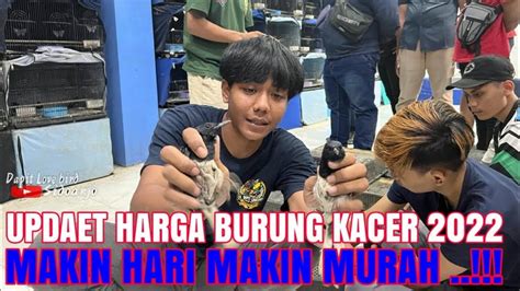 Harga Kacer Malaysia