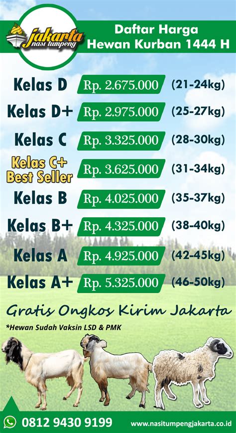 Harga Kambing Besar