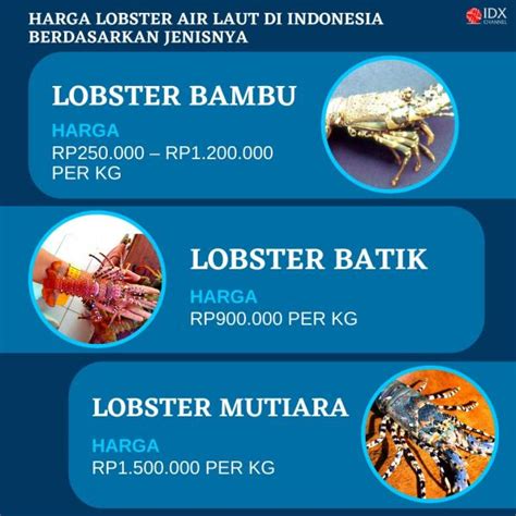 Harga Lobster Tawar