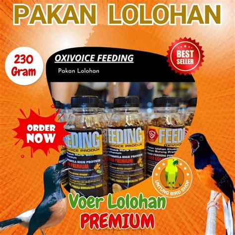 Harga Lolohan Murai Batu