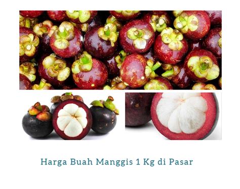 Harga Manggis di Medan