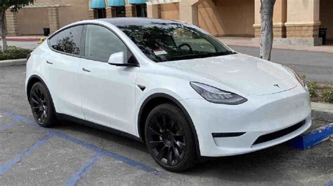 Harga Mobil Tesla Model Y