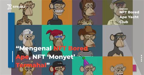 Harga NFT Monyet di Indonesia