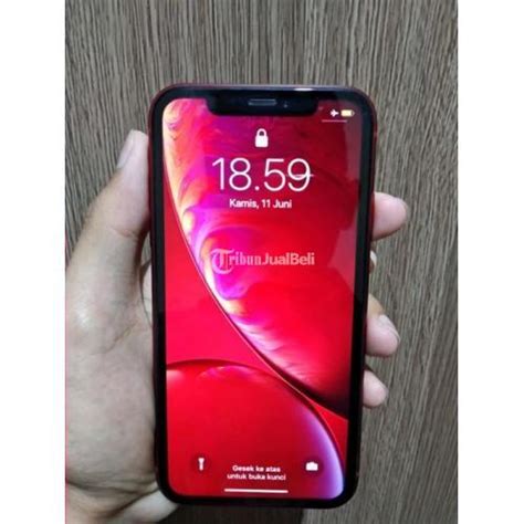 Harga Normal iPhone XR di Indonesia