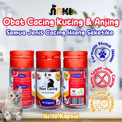 Harga Obat Cacing Kucing