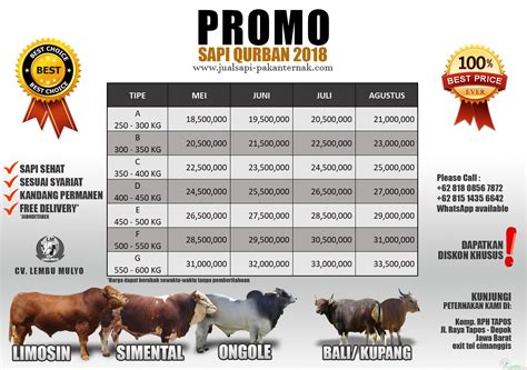Harga Sapi Per Kilo Yang Wajar