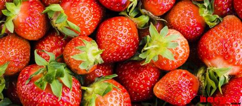 Harga Strawberry 1kg di Tahun 2021