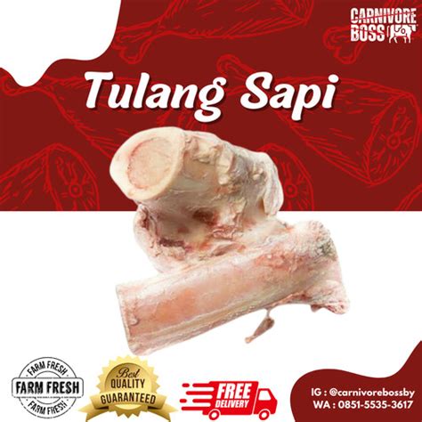 Harga Tulang Sapi